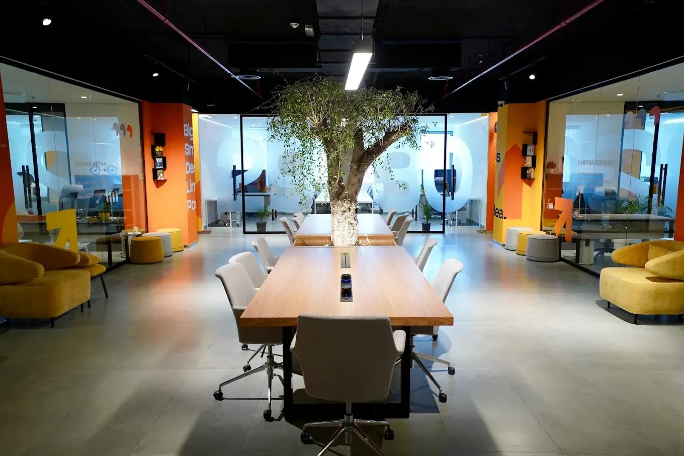 Shared co-working hall with a long communal table and a central olive tree