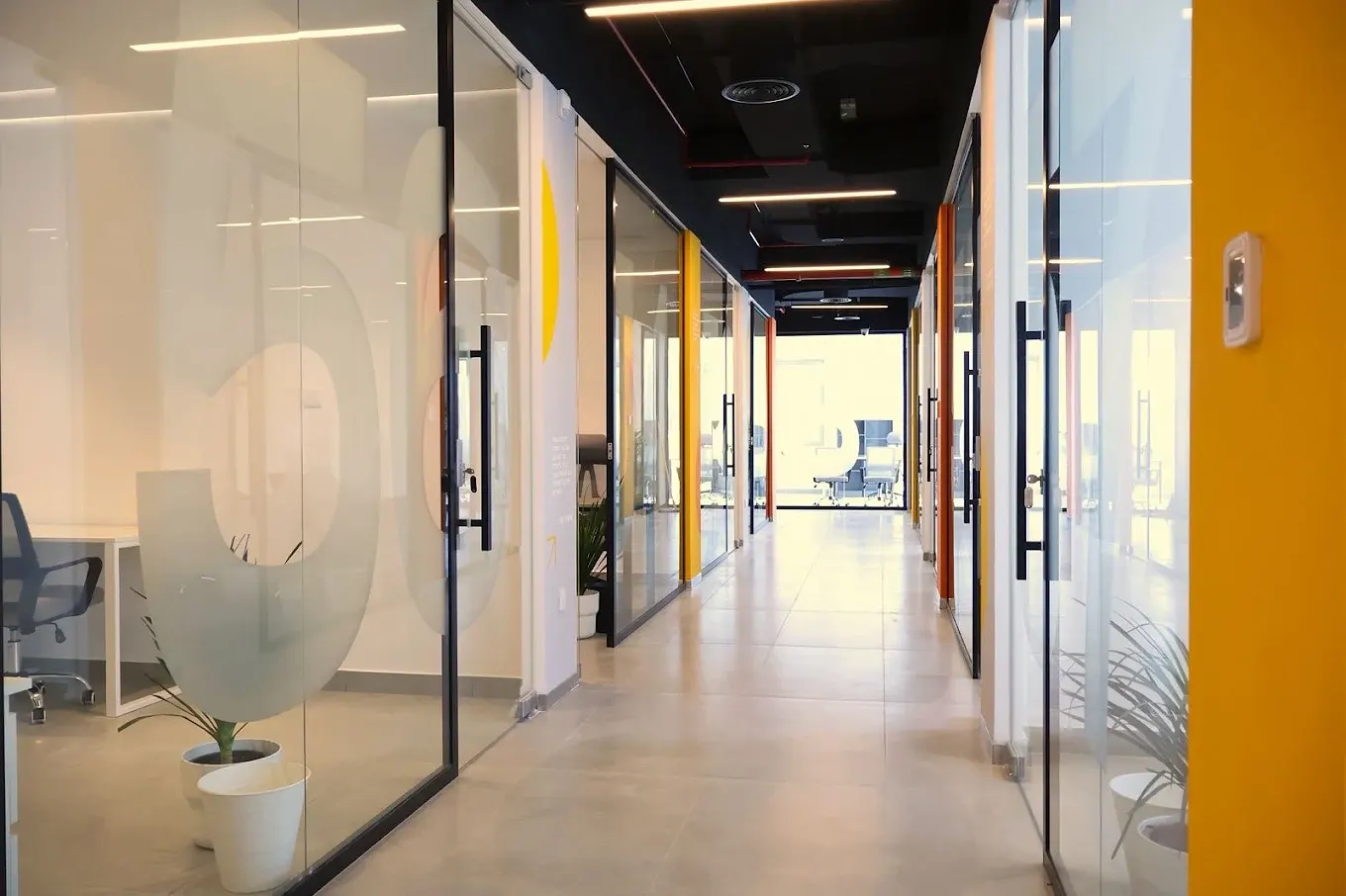 Corridor of glass-fronted private offices with natural light